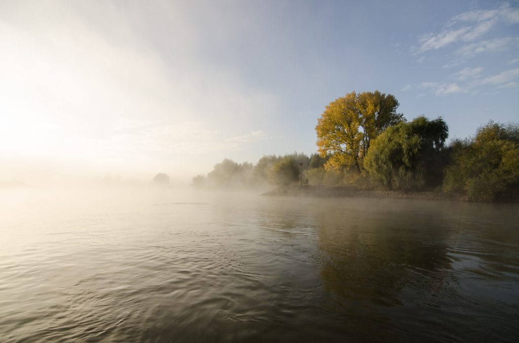 Morgennebel an der Ijssel