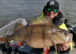 Foto 27 02 2026 19 42 07